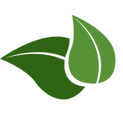 Shop Eco-Friendly Bamboo Mattress Toppers for Comfort logo